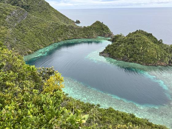 Indon&eacute;sie Croisi&egrave;re Abyssworld Samambaia RAJA AMPAT REVEILLONS