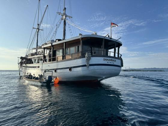 Indon&eacute;sie Croisi&egrave;re Abyssworld Samambaia EAST FLORES et MER DE BANDA