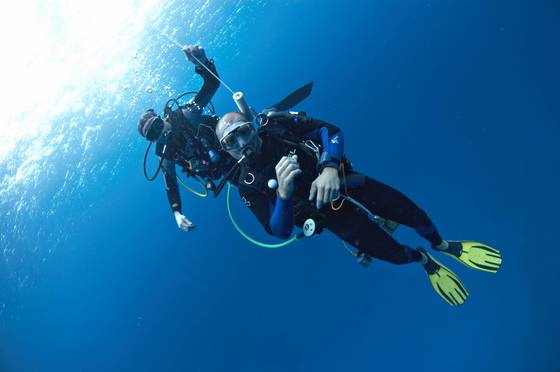 6 bonnes raisons de découvrir la plongée sous-marine