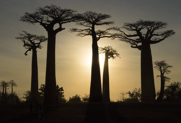 Madagascar Safari Abyssworld      NOSY BE - NOSY IRANJA - RADAMA