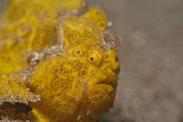 Philippines S&eacute;jour ATMOSPHERE RESORT AND SPA