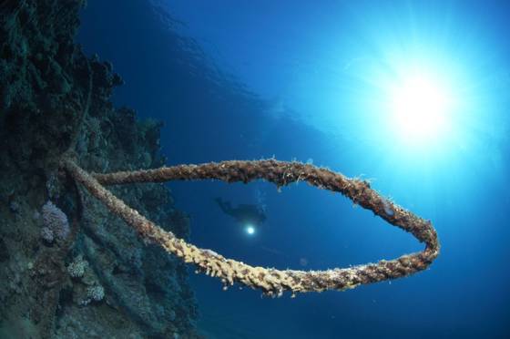 Plongée en Égypte : le charme envoûtant de la Mer Rouge