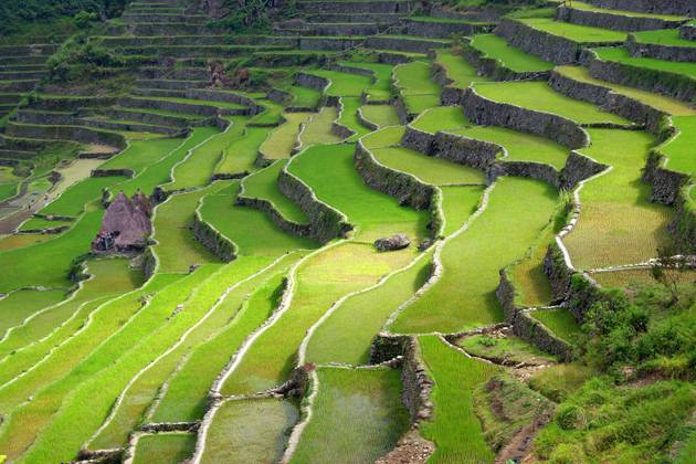 Les rizières des Philippines, à la découverte de la huitième merveille